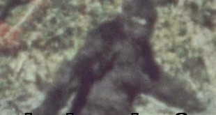 Bigfoot