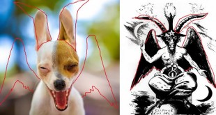 Sabbatic Goat Dog